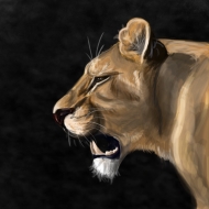 lioness4.png