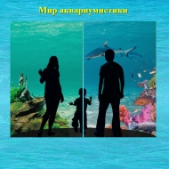 Мир аквариумистики
