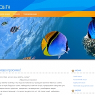 Моря та океани світу