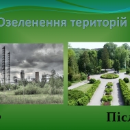 Скріншот-1