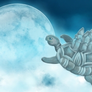 sky turtle